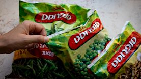 סנפרוסט, צילום: אילוסטרציה יהונתן זינדל, פלאש 90